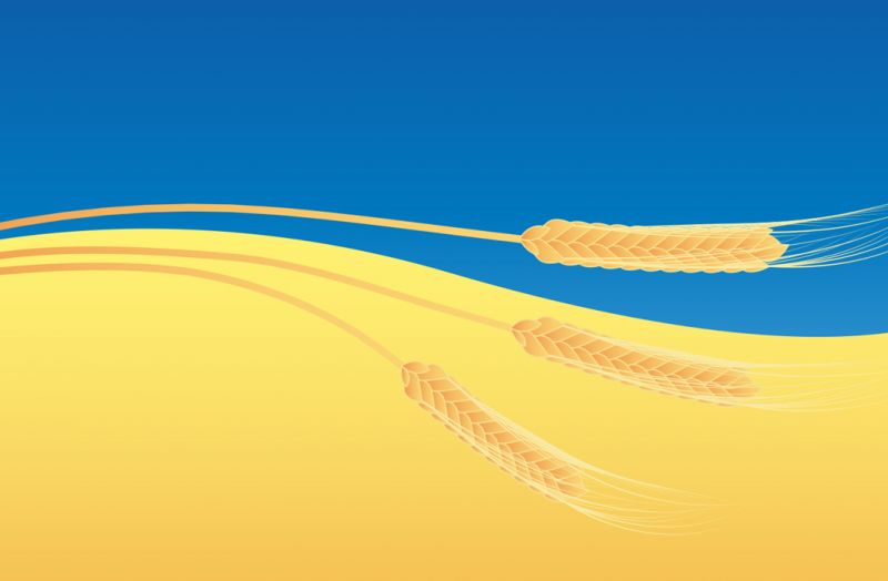 We work for farmers and help the Armed Forces of Ukraine