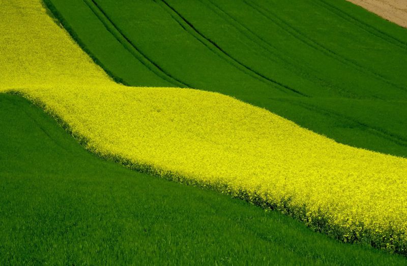 Geometer. Measurements on maps